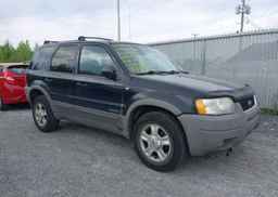 2001 FORD ESCAPE XLT