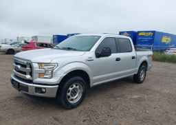 2015 FORD F-150 XLT