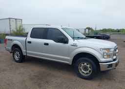 2015 FORD F-150 XLT