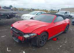 2019 FORD Mustang Convertible