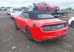 2019 FORD Mustang Convertible