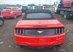 2019 FORD Mustang Convertible