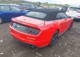 2019 FORD Mustang Convertible