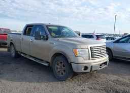 2010 FORD F-150 FX4