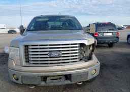 2010 FORD F-150 FX4
