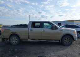 2010 FORD F-150 FX4