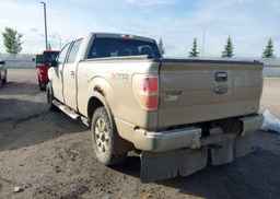 2010 FORD F-150 FX4