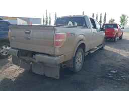 2010 FORD F-150 FX4