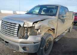 2010 FORD F-150 FX4