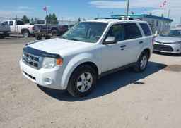 2011 FORD ESCAPE XLT