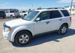 2011 FORD ESCAPE XLT