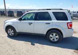 2011 FORD ESCAPE XLT