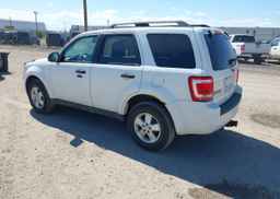 2011 FORD ESCAPE XLT