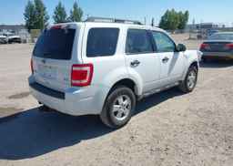 2011 FORD ESCAPE XLT