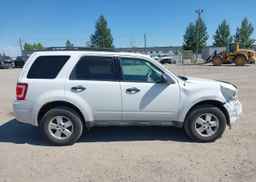 2011 FORD ESCAPE XLT