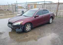 2008 HONDA ACCORD EX