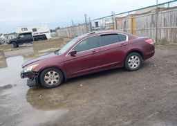2008 HONDA ACCORD EX