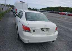 2010 HONDA ACCORD