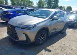 2023 LEXUS NX 250