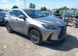 2023 LEXUS NX 250