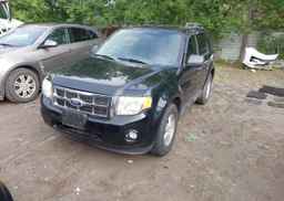 2012 FORD ESCAPE XLT