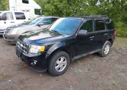 2012 FORD ESCAPE XLT