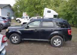 2012 FORD ESCAPE XLT