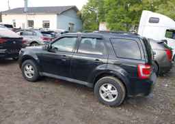 2012 FORD ESCAPE XLT