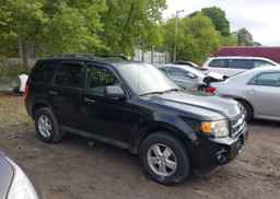 2012 FORD ESCAPE XLT