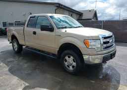 2013 FORD F150 SUPER CAB