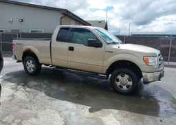 2013 FORD F150 SUPER CAB
