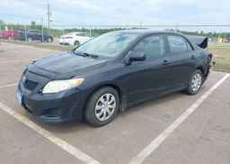 2010 TOYOTA COROLLA CE