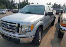 2010 FORD F150