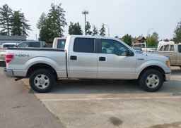 2010 FORD F150