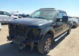 2009 FORD F-150 FX4
