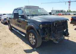 2009 FORD F-150 FX4