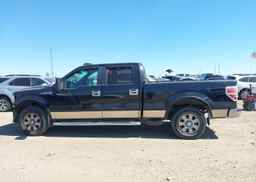 2009 FORD F-150 FX4