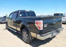 2009 FORD F-150 FX4