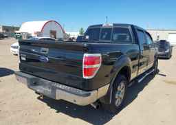 2009 FORD F-150 FX4