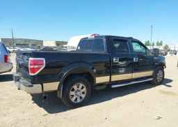 2009 FORD F-150 FX4