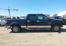 2009 FORD F-150 FX4
