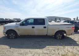 2014 FORD F150 SUPERCREW