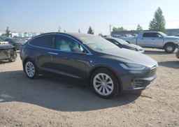 2019 TESLA MODEL X 100D