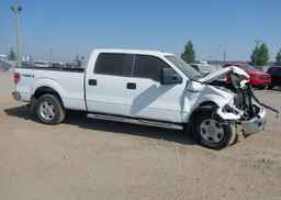 2014 FORD F-150 XLT