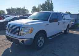 2010 FORD F150 SUPERCREW