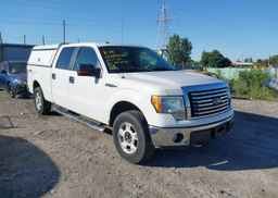 2010 FORD F150 SUPERCREW