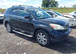 2010 HONDA CR-V LX
