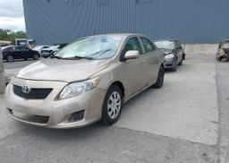 2009 TOYOTA COROLLA