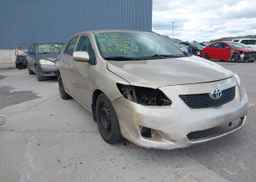 2009 TOYOTA COROLLA