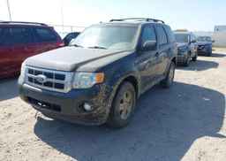 2011 FORD ESCAPE XLT